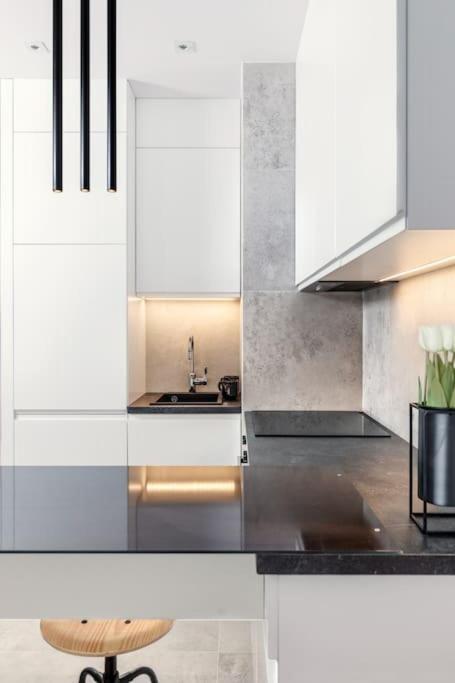 Deluxe Apartment In City Center, Steam Park クラクフ エクステリア 写真